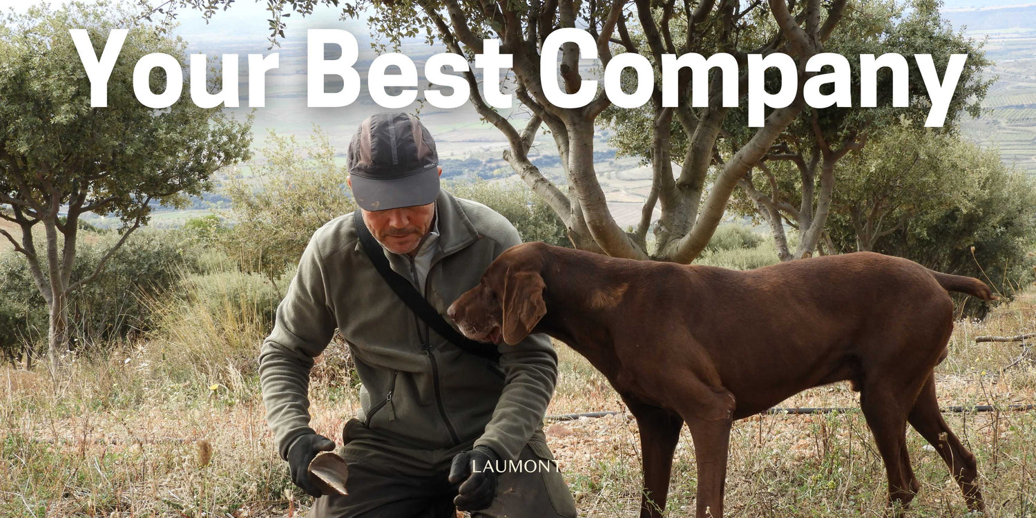 Laumont Pays Tribute to Guide Dogs and Truffle Dogs