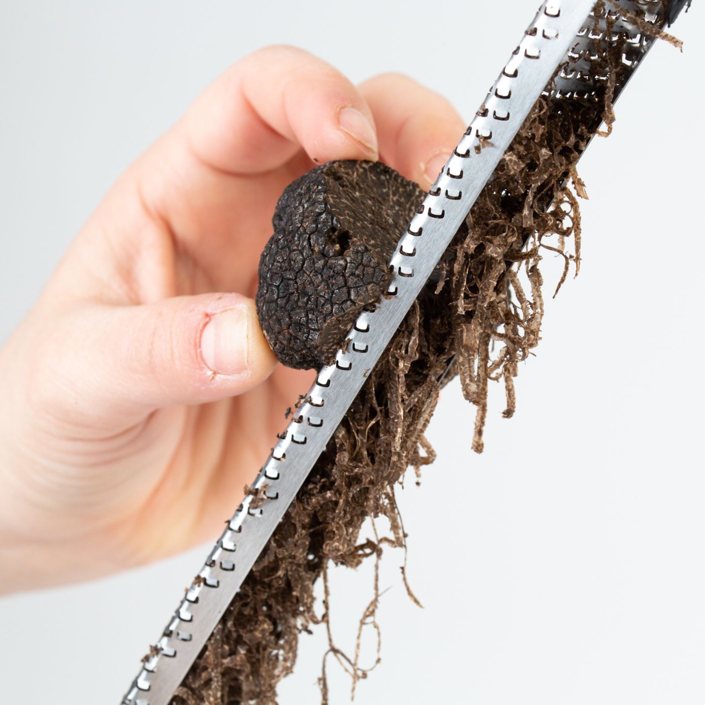 Truffle Grater Microplane