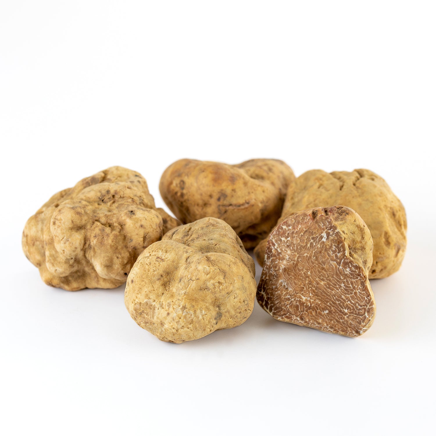 Fresh White Truffle - Tuber Magnatum