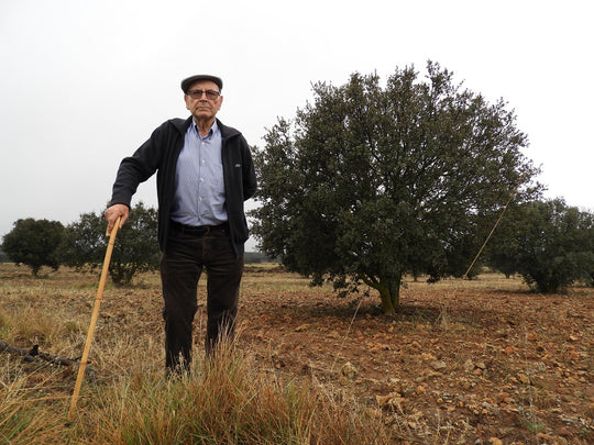 Clemente, a life dedicated to truffles