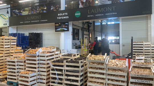 Laumont: Mushroom wholesalers