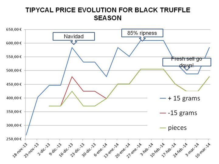 Evolution of truffle prices in a conventional Tuber Melanosporum black truffle campaign