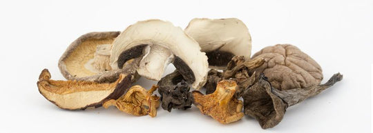 Dried mushrooms: what they are, how to hydrate them and tips for cooking them