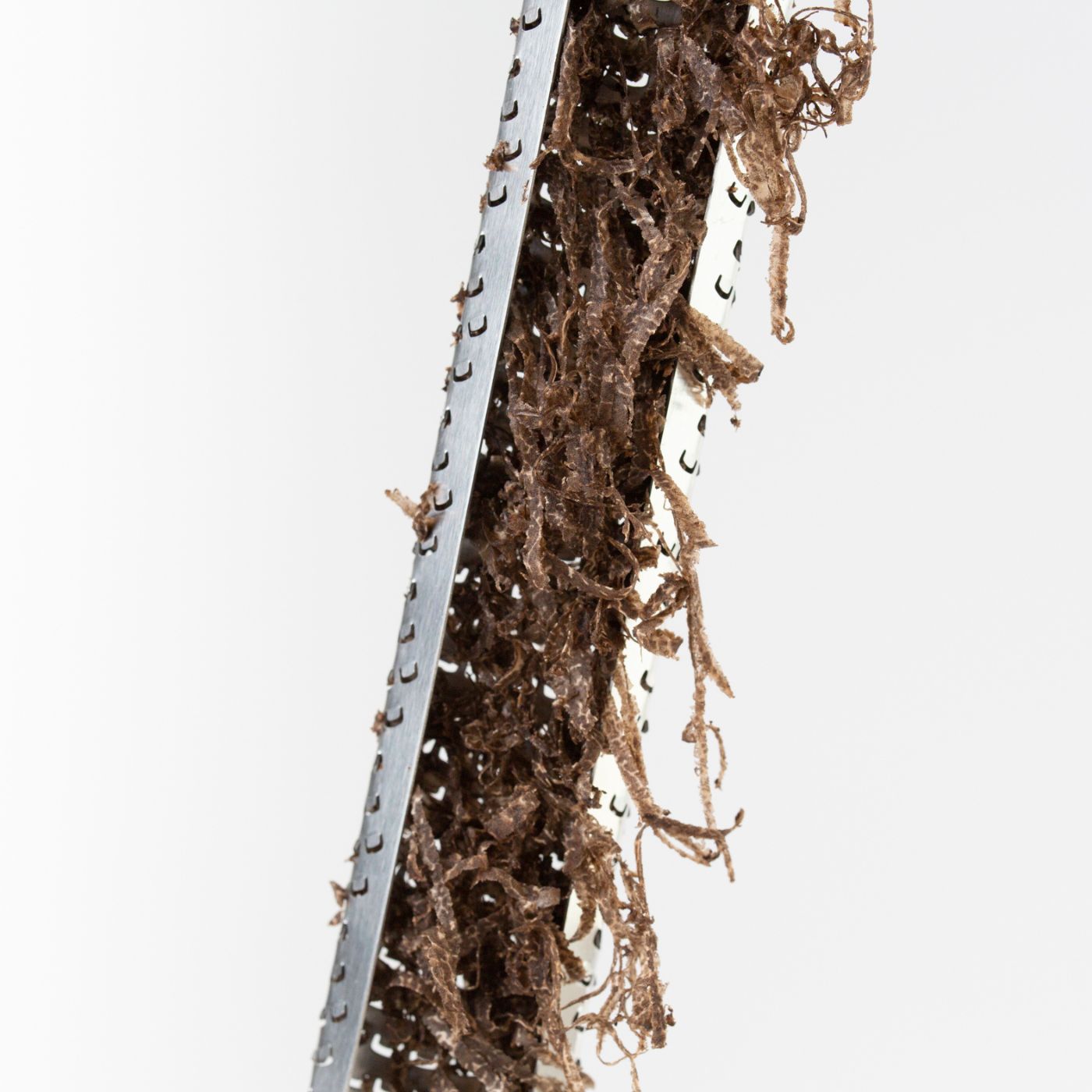 Truffle Grater Microplane