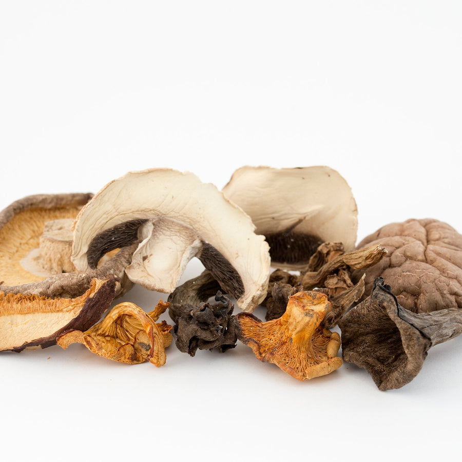 Mixture of Dried mushrooms 500g