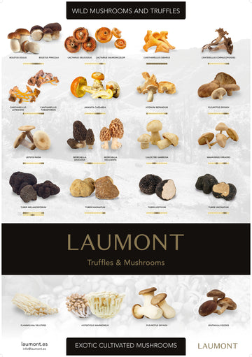 Laumont Poster: Truffles & Mushrooms season