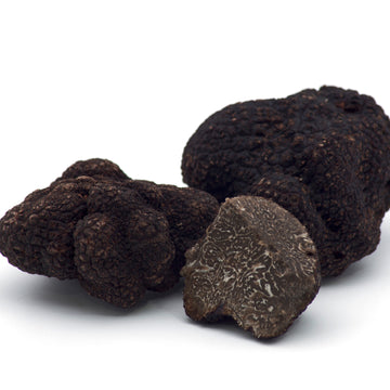 Fresh Black Truffle - Tuber Melanosporum