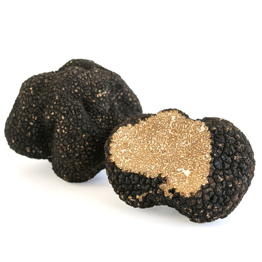 Fresh Autumn Truffle - Tuber Uncinatum