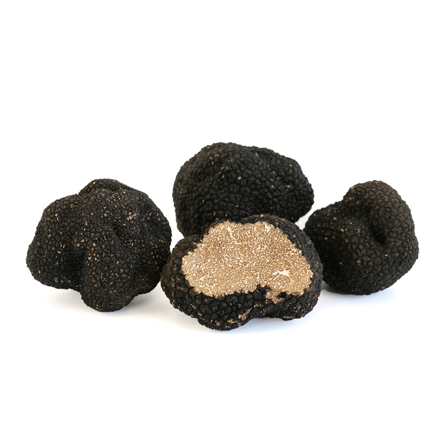 Fresh Autumn Truffle - Tuber Uncinatum