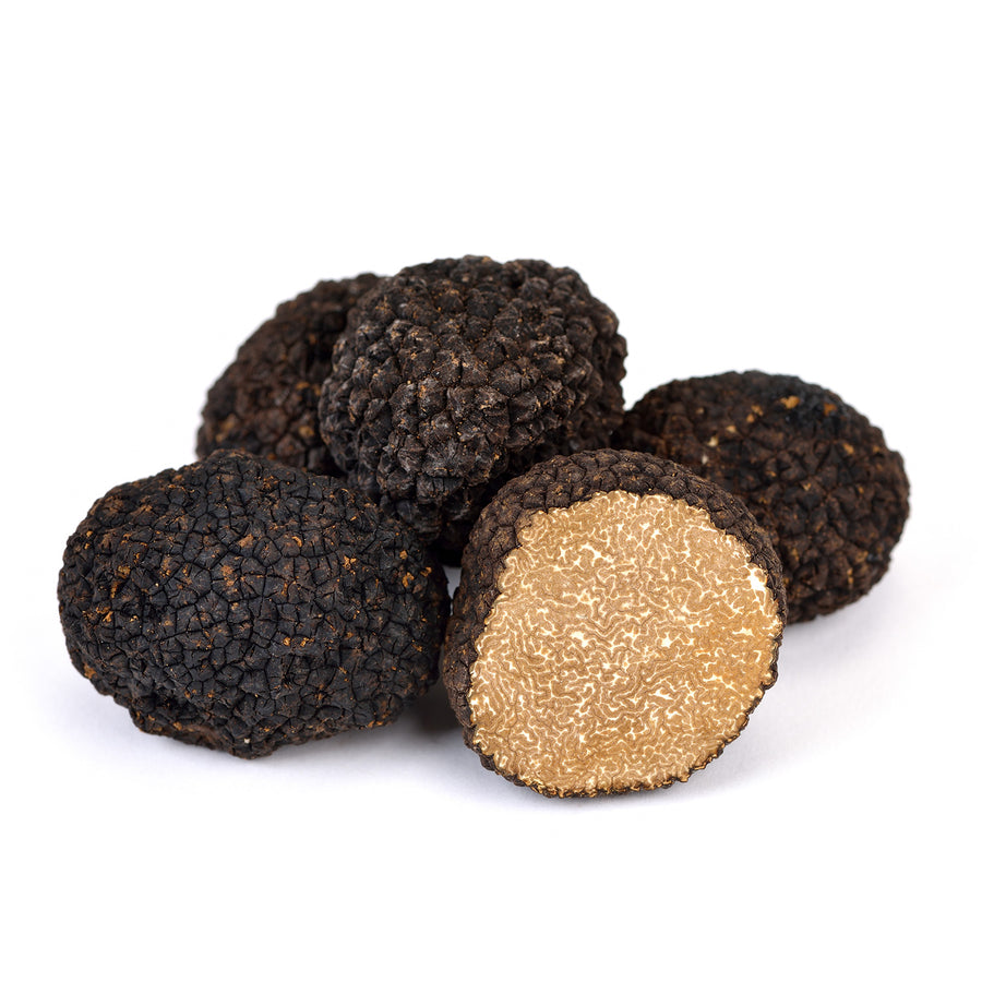 Fresh Autumn Truffle - Tuber Uncinatum