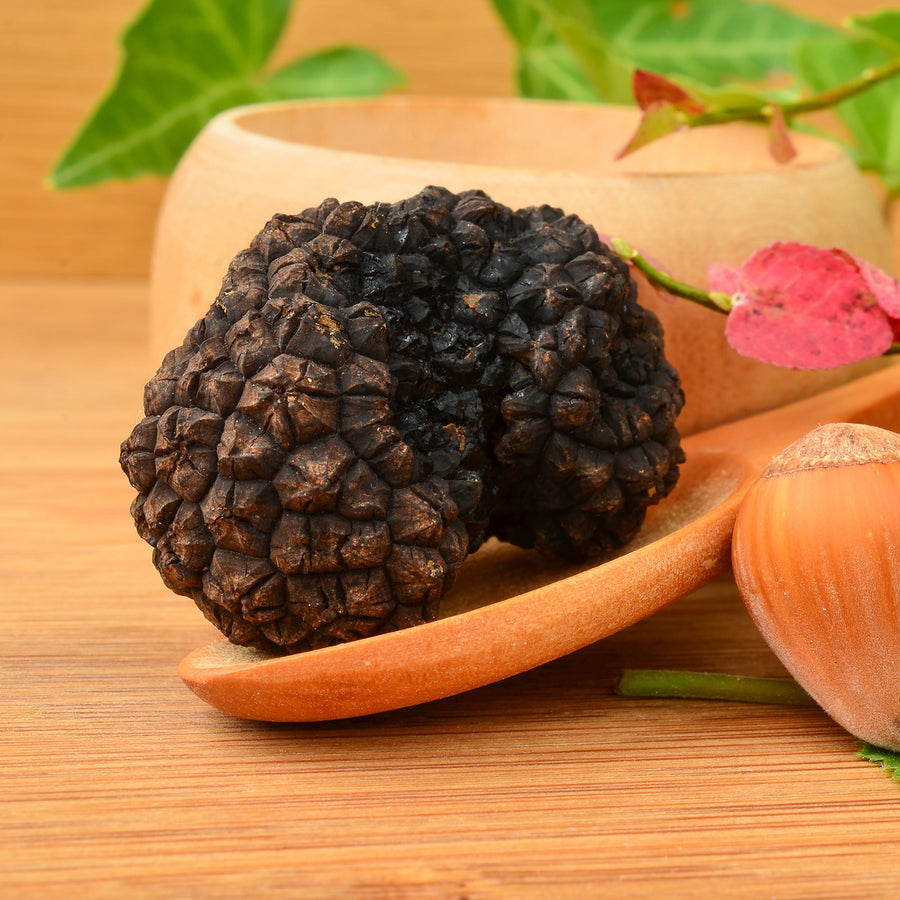 Fresh Autumn Truffle - Tuber Uncinatum